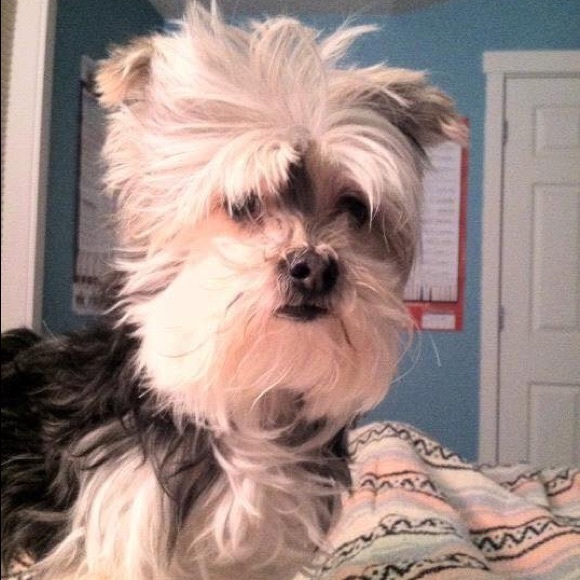 Meet your Posher, Tracey - Picture 1 of 1